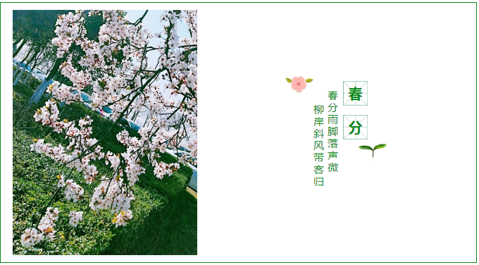 微信图片_20200320103724.png