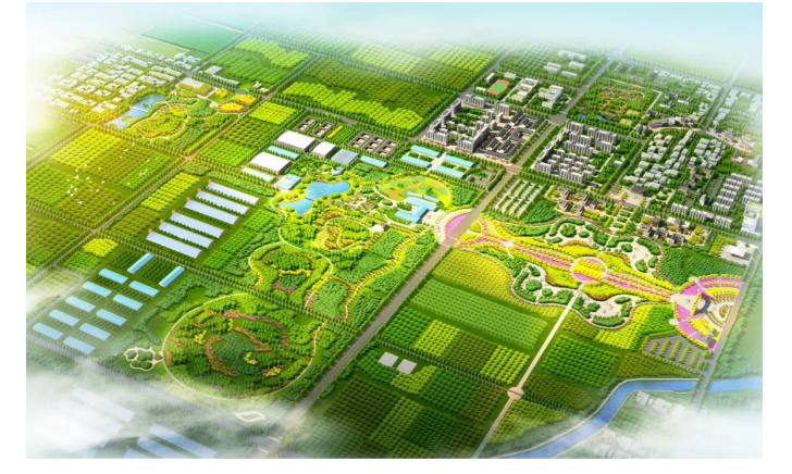 60bee396224ab.png image.png